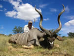 kudu