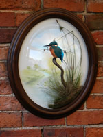 kingfisher wall dome